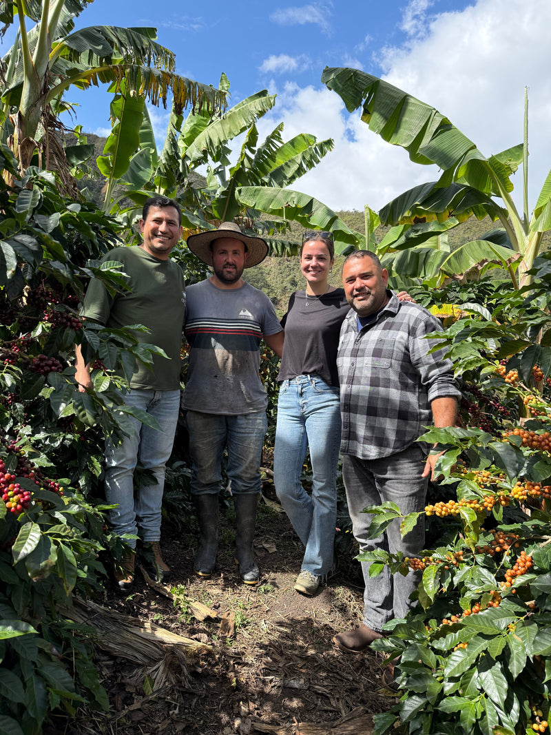 Du Venezuela à Nivelles : notre café vert en collaboration avec Origin2U
