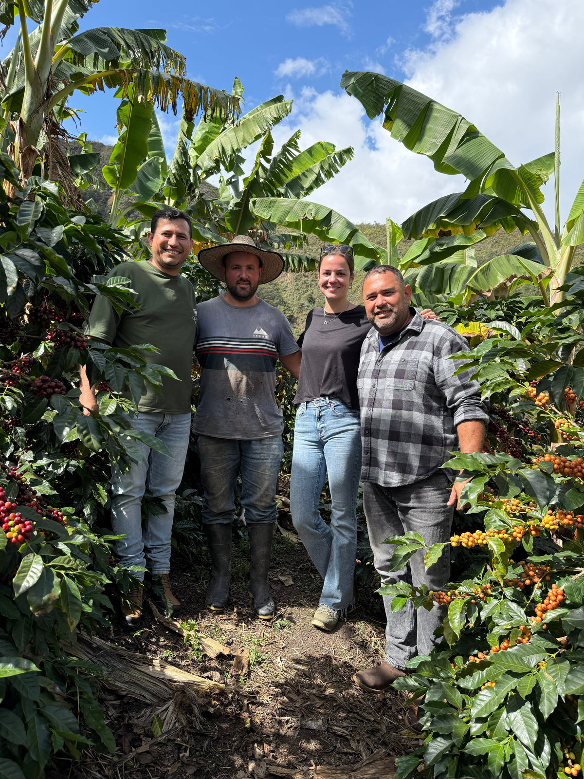 Du Venezuela à Nivelles : notre café vert en collaboration avec Origin2U