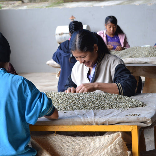 Caracolito (Peaberry)