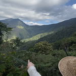 Afbeelding in Gallery-weergave laden, El Salvaje - NEW
