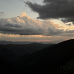 Afbeelding in Gallery-weergave laden, El Salvaje - NEW
