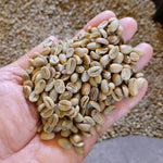 Charger l&#39;image dans la galerie, Caripe
